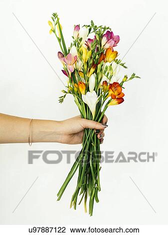 Stock Image - Woman holding bouquet. Fotosearch