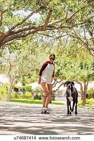 Woman on skate board with Great Dane View Large Photo Image Picture - Woman on skate board with Great Dane. Fotosearch