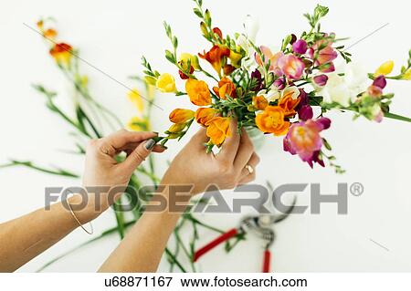 Stock Photo - Woman putting flowers into jar. Fotosearch