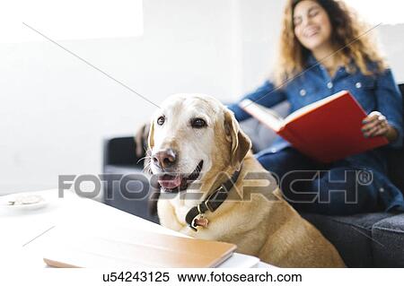 Woman sitting with dog in living room and reading book View Large Photo Image Stock Photography - Woman sitting with dog in living room and reading book. Fotosearch
