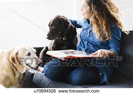 Woman sitting with dogs in living room and reading book View Large Photo Image Stock Photograph - Woman sitting with dogs in living room and reading book. Fotosearch