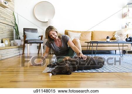 Woman stroking Labrador Retriever in living room View Large Photo Image Stock Photography - Woman stroking Labrador Retriever in living room. Fotosearch