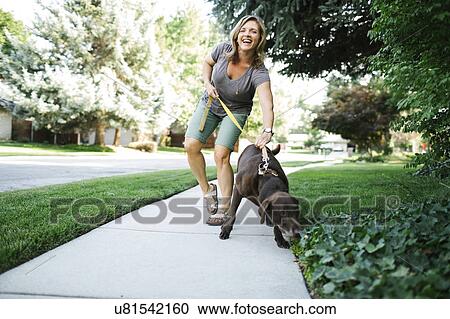 Stock Image - Woman walking with Labrador Retriever. Fotosearch