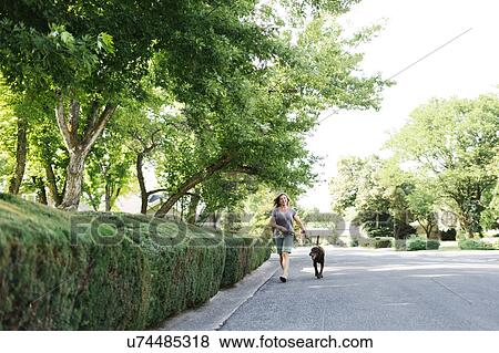 Stock Photo - Woman walking with Labrador Retriever. Fotosearch