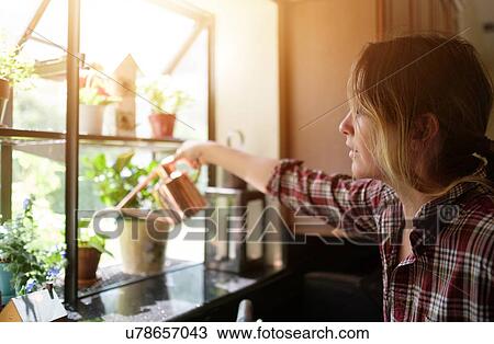 Woman watering plants at home View Large Photo Image Stock Image - Woman watering plants at home. Fotosearch