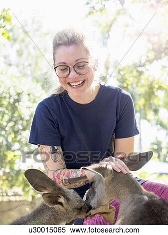 Young woman feeding Eastern grey kangaroos (Macropus giganteus) and smiling View Large Photo Image Stock Photography - Young woman feeding Eastern grey kangaroos (Macropus giganteus) and smiling. Fotosearch