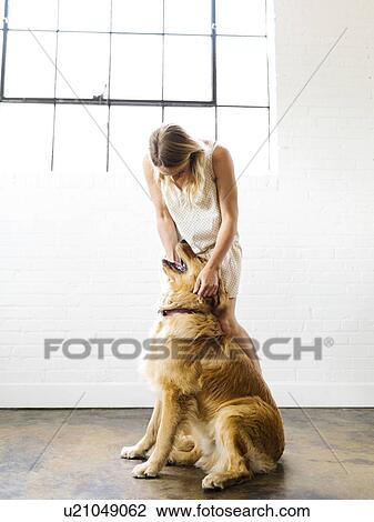 Stock Image - Young woman playing with golden retriever. Fotosearch