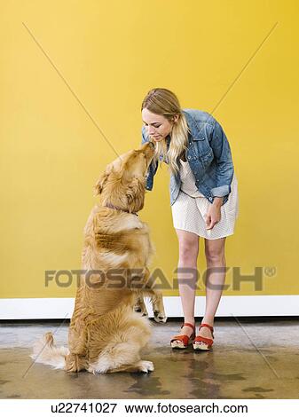 Young woman playing with golden retriever View Large Photo Image Stock Photo - Young woman playing with golden retriever. Fotosearch