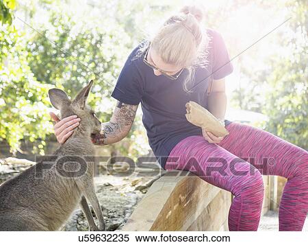 Stock Photography - Young woman stroking Eastern grey kangaroo (Macropus giganteus). Fotosearch