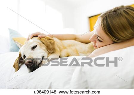 Young woman stroking golden retriever in bed View Large Photo Image Stock Photo - Young woman stroking golden retriever in bed. Fotosearch