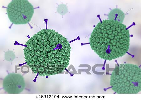 Picture - Adenovirus structure, illustration. Fotosearch