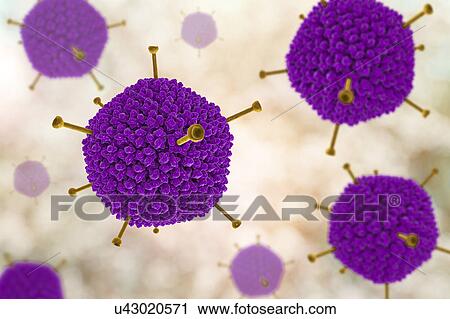 Stock Image - Adenovirus structure, illustration. Fotosearch