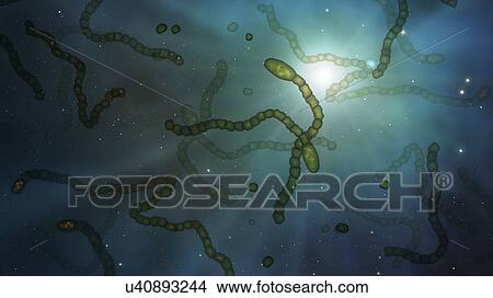 Alien microbes in space, conceptual illustration. It is thought that micro-organisms could survive the harsh conditions of space transported on the surface of space debris, such as comets and meteorites. These microorganisms may form life on other... View Large Photo Image Picture - Alien microbes in space, conceptual illustration. It is thought that micro-organisms could survive the harsh conditions of space transported on the surface of space debris, such as comets and meteorites. These microorganisms may form life on other.... Fotosearch