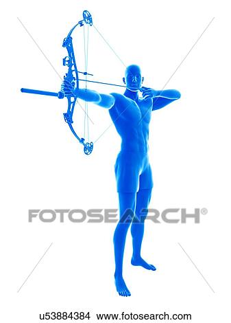 Archer, illustration. View Large Photo Image Picture - Archer, illustration.. Fotosearch