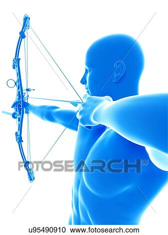 Archer, illustration. View Large Photo Image Stock Image - Archer, illustration.. Fotosearch