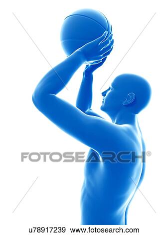 Basketball player holding ball, illustration. View Large Photo Image Stock Photo - Basketball player holding ball, illustration.. Fotosearch
