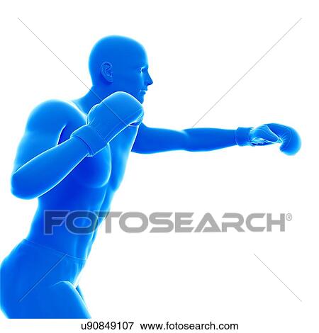Boxer, illustration. View Large Photo Image Stock Photo - Boxer, illustration.. Fotosearch
