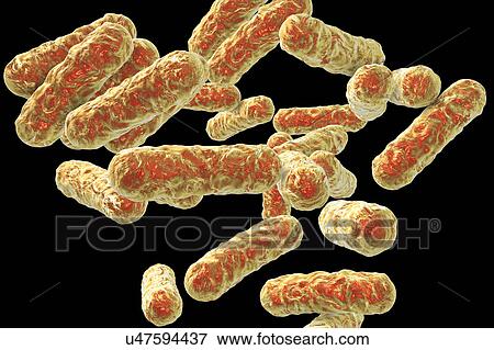 Stock Photo - Cat-scratch disease bacteria, illustration. Fotosearch