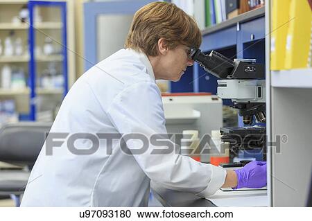 Stock Image - Chemist examining a sample slide on a microscope.. Fotosearch