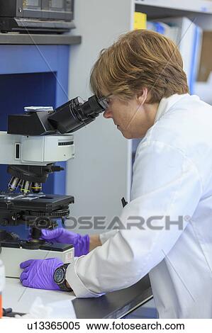 Chemist examining a sample slide on a microscope. View Large Photo Image Stock Photography - Chemist examining a sample slide on a microscope.. Fotosearch