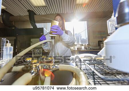 Picture - Chemist placing paper filter for sample testing.. Fotosearch