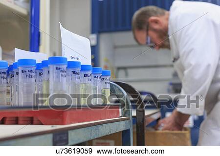 Chemist preparing samples. View Large Photo Image Stock Photo - Chemist preparing samples.. Fotosearch
