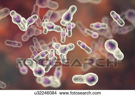 Picture - Clostridium bacteria, illustration. Fotosearch