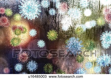 Stock Image - Common cold virus, conceptual illustration. The common cold is caused by different viruses including rhinoviruses, other enteroviruses, coronaviruses, influenza and parainfluenza viruses, and adenoviruses. Most common cold viruses are seasonal.. Fotosearch