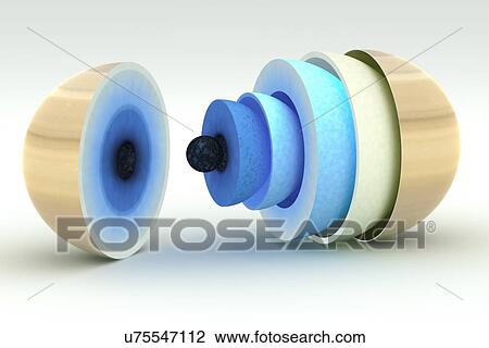 Diagram showing interior of Saturn View Large Photo Image Stock Image - Diagram showing interior of Saturn. Fotosearch