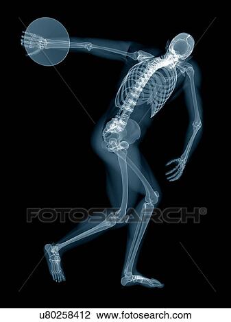 Stock Image - Discus thrower's skeletal system, illustration.. Fotosearch