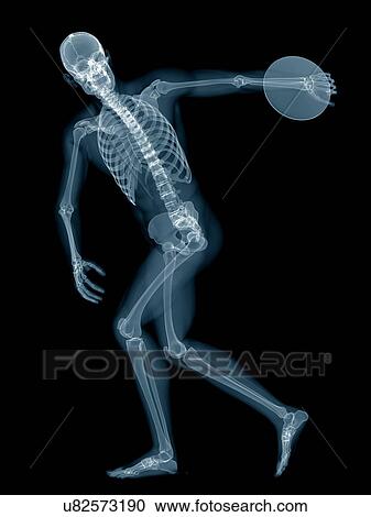 Stock Image - Discus thrower's skeletal system, illustration.. Fotosearch