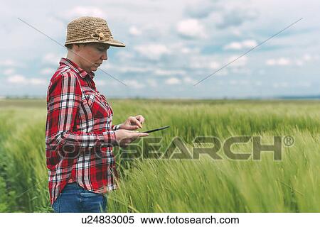 Stock Photography - Female farmer using tablet in wheat field. Fotosearch