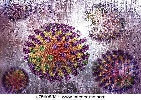 Stock Image - Flu viruses, conceptual illustration demonstrating seasonal character of respiratory infections with increase of flu incidences in cold rainy weather. Each virus consists of a core of RNA (ribonucleic acid) genetic material surrounded by a protein.... Fotosearch