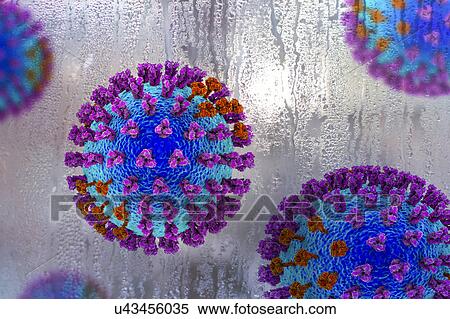 Flu viruses, conceptual illustration demonstrating seasonal character of respiratory infections with increase of flu incidences in cold rainy weather. Each virus consists of a core of RNA (ribonucleic acid) genetic material surrounded by a protein... View Large Photo Image Stock Photography - Flu viruses, conceptual illustration demonstrating seasonal character of respiratory infections with increase of flu incidences in cold rainy weather. Each virus consists of a core of RNA (ribonucleic acid) genetic material surrounded by a protein.... Fotosearch