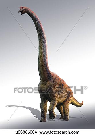 Picture - Giraffatitan, illustration. Fotosearch