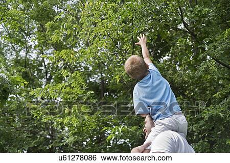Grandfather carrying grandson on his shoulders and boy reaching up towards trees. View Large Photo Image Stock Photograph - Grandfather carrying grandson on his shoulders and boy reaching up towards trees.. Fotosearch