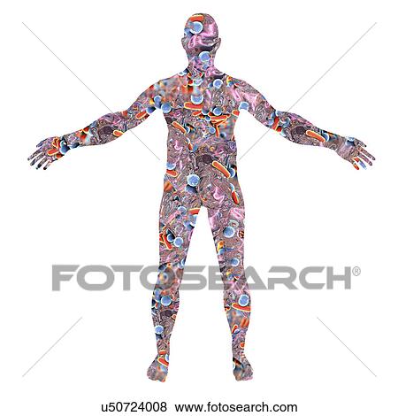 Stock Photo - Human microbiome, conceptual illustration. Fotosearch