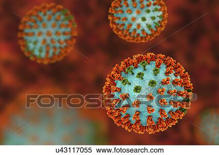 Influenza virus H3N2 strain. 3D illustration showing surface glycoprotein spikes hemagglutinin (orange) and neuraminidase (green) on an influenza (flu) virus particle. Haemagglutinin plays a role in attachment of the virus to human respiratory cells.... View Large Photo Image Stock Photography - Influenza virus H3N2 strain. 3D illustration showing surface glycoprotein spikes hemagglutinin (orange) and neuraminidase (green) on an influenza (flu) virus particle. Haemagglutinin plays a role in attachment of the virus to human respiratory cells..... Fotosearch