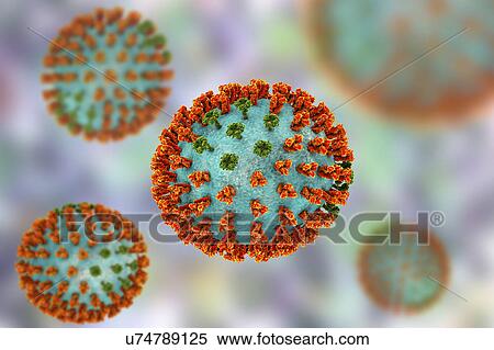 Stock Photography - Influenza virus H3N2 strain. 3D illustration showing surface glycoprotein spikes hemagglutinin (orange) and neuraminidase (green) on an influenza (flu) virus particle. Haemagglutinin plays a role in attachment of the virus to human respiratory cells..... Fotosearch