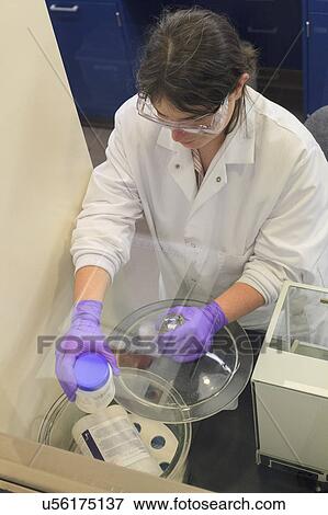 Stock Photo - Lab technician getting reagent from storage.. Fotosearch