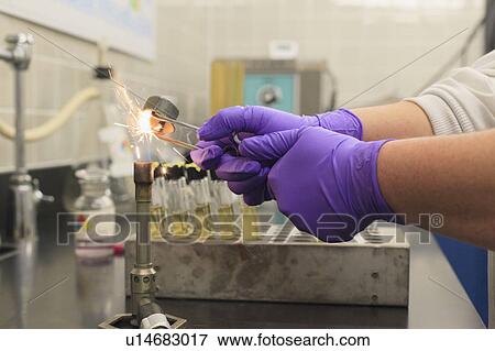 Lab technician igniting Bunsen burner. View Large Photo Image Stock Photo - Lab technician igniting Bunsen burner.. Fotosearch