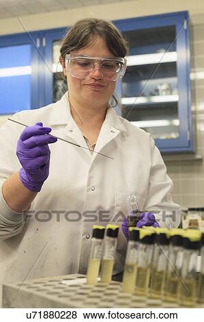 Lab technician using flame test probe to gather sample from vile. View Large Photo Image Stock Photo - Lab technician using flame test probe to gather sample from vile.. Fotosearch