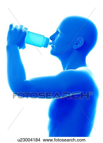 Picture - Man drinking from bottle, illustration.. Fotosearch