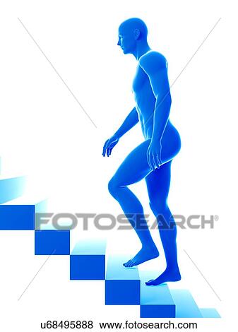 Stock Photo - Man going up stairs, illustration.. Fotosearch