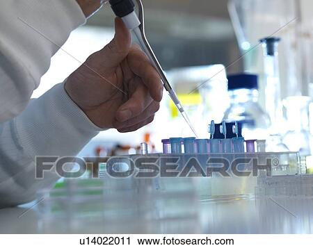 MODEL RELEASED. Biochemical research. Scientist pipetting samples into tubes ready for testing in a laboratory. View Large Photo Image Stock Image - MODEL RELEASED. Biochemical research. Scientist pipetting samples into tubes ready for testing in a laboratory.. Fotosearch