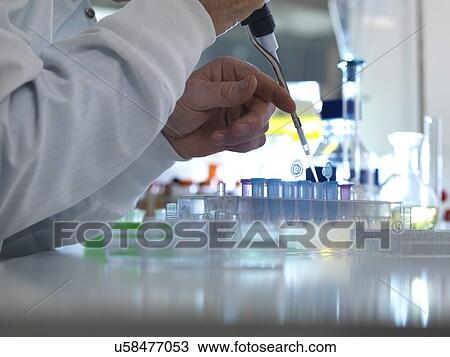 MODEL RELEASED. Biochemical research. Scientist pipetting samples into tubes ready for testing in a laboratory. View Large Photo Image Stock Image - MODEL RELEASED. Biochemical research. Scientist pipetting samples into tubes ready for testing in a laboratory.. Fotosearch