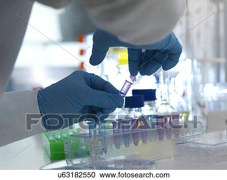 MODEL RELEASED. Biomedical research. Scientist closing the lid of a vial ready for testing in a laboratory. View Large Photo Image Stock Image - MODEL RELEASED. Biomedical research. Scientist closing the lid of a vial ready for testing in a laboratory.. Fotosearch