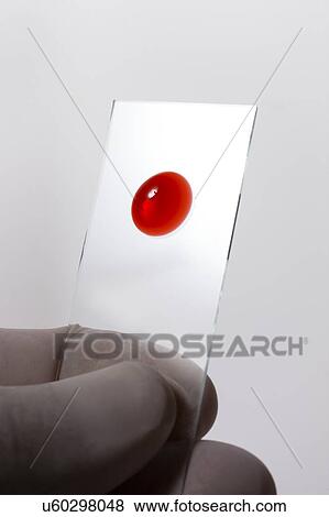 Stock Photo - MODEL RELEASED. Blood sample on microscope slide, studio shot.. Fotosearch