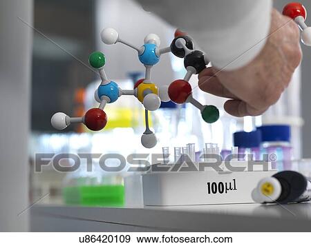 MODEL RELEASED. Chemistry research. Researcher designing a chemical formula using a molecular model in the lab. View Large Photo Image Stock Photo - MODEL RELEASED. Chemistry research. Researcher designing a chemical formula using a molecular model in the lab.. Fotosearch