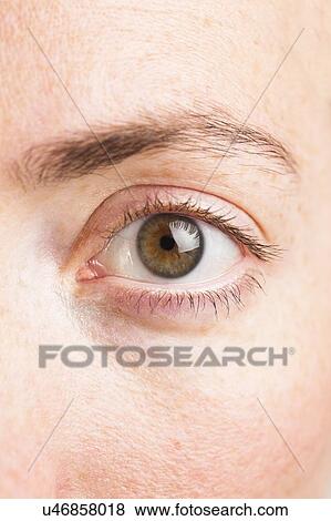 Stock Photo - MODEL RELEASED. Close-up of young woman's green eye.. Fotosearch